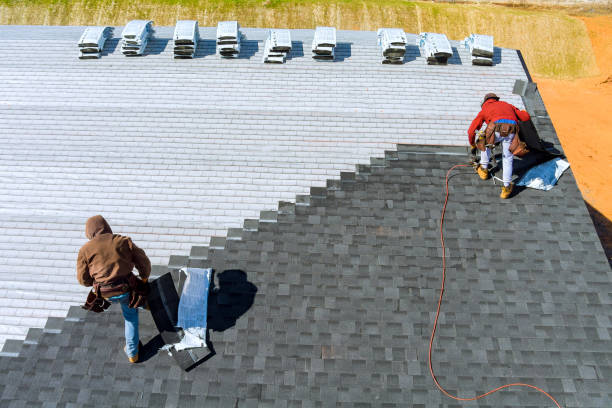 Best Chimney Flashing Repair  in Kaumakani, HI